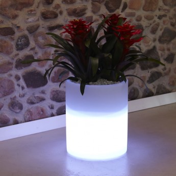 LED LIGHTED VASE-ROSE