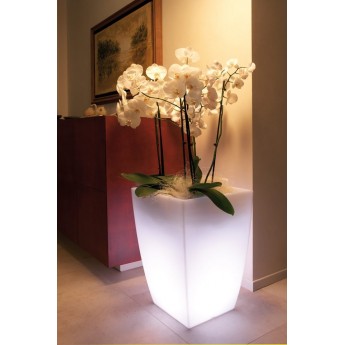 VASO LUMINOSO A LED - JASMIN CM. 57H