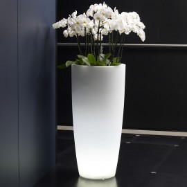 VASO LUMINOSO A LED - CYPRESS CM. 53H