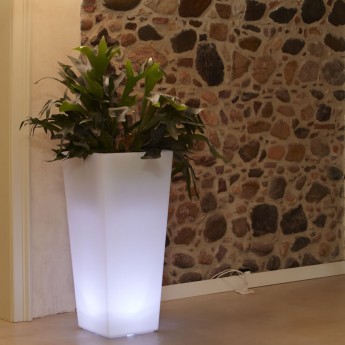 LED-LIGHTED VASE THAN CHEDDAR