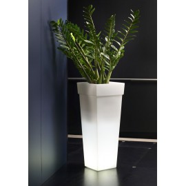 LED LIGHTED VASE-OAK