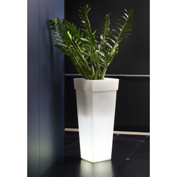 LED LIGHTED VASE-OAK