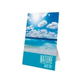 5 WINDOW POSTERS 50 x 70