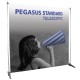 PEGASUS BANNER CM. 250x250H