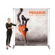 PEGASUS BANNER CM. 250x250H