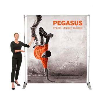 PEGASUS BANNER