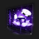 PARETE LUMINOSA A LED CM. 300x240H