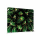 PANNELLO DIVISORIO CON STAMPA CACTUS